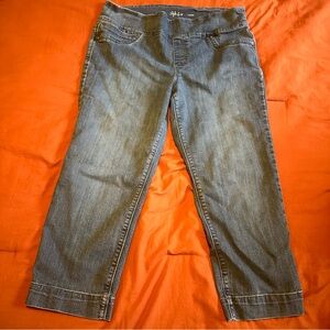 Style & Co. Women's Denim Capris, L